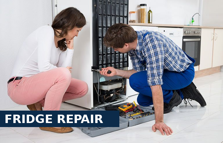 Fridge Repair Mortlake